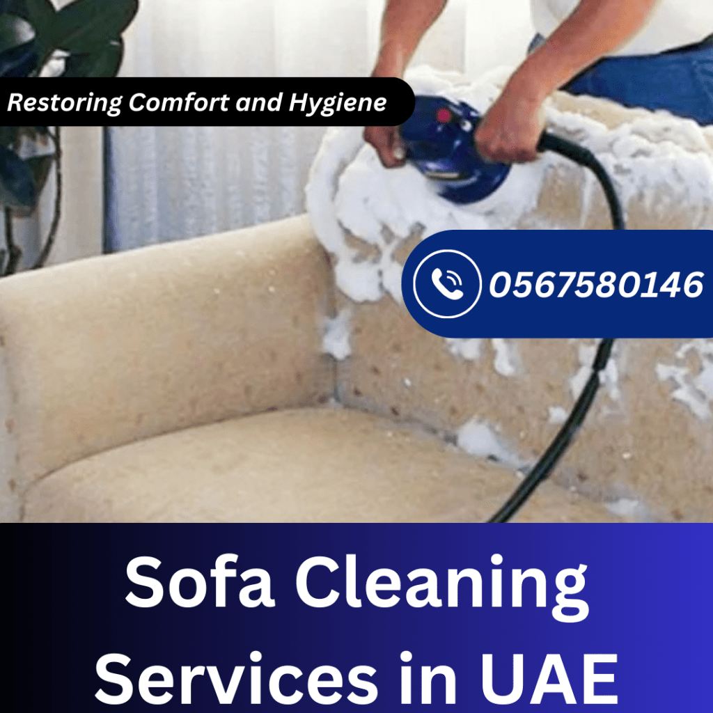 Sofa Cleaning Services